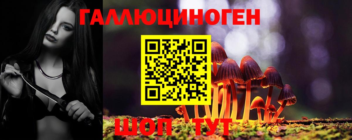 Кисловодск  наркошоп  Галлюциногенные грибы Psilocybine cubensis  Вход с VPN  Галлюциногенные грибы MAGIC MUSHROOMS 